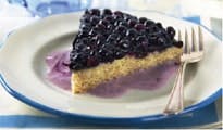 fp0606_foodservice_blueberry-pie fp0606_foodservice_blueberry-pie