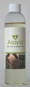 fp0606_bench_asoyia