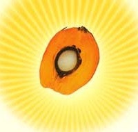 1660255998198 Palmfruit Ampalmoildotcom