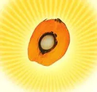 palm-fruit_AmPalmOil-dot-com