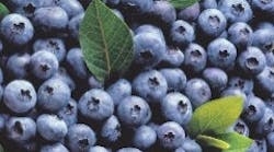 wf0604_diabetes_highbush-blueberries