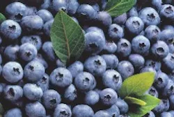 1660256018550 Wf0604 Diabetes Highbushblueberries