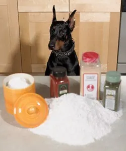 fp0601_ing-sec_dog-web fp0601_ing-sec_dog-web