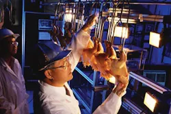 fp0601_plantsafety_chickeninsp