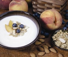 1660256125575 Fp0512 Bench Tic Yogurt