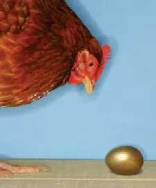 fp0508_top100_chicken fp0508_top100_chicken