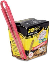 1660256265715 Fp0508 Toopsscoops Larvae