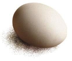 resizedimage248213-zzzz753 resizedimage248213-zzzz753