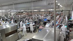 Frontmatec-Asuan-deboning Frontmatec-Asuan-deboning