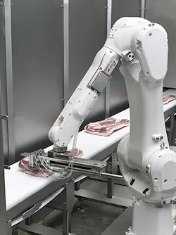 Frontmatec-single-rib-puller-robot Frontmatec-single-rib-puller-robot