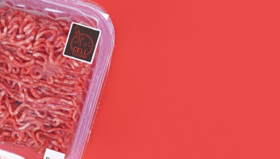 Is LabGrown Meat the Safer Option? Food Processing