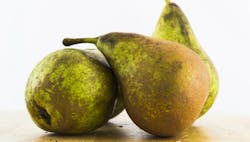 1660317406990 Upcycledecemberimage 1660317406990 Upcycledecemberimage