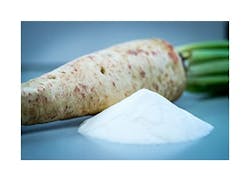 Chicory-Beneo Chicory-Beneo