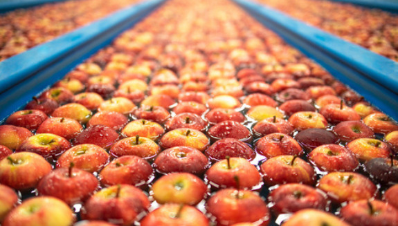 The Supply and Demands of Processing Organic Foods Food Processing