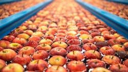 1660317520341 Organicprocessing2 1660317520341 Organicprocessing2