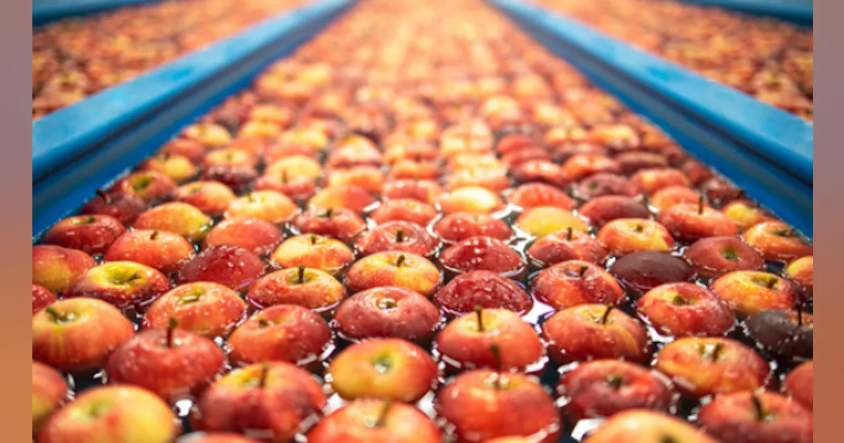The Supply and Demands of Processing Organic Foods | Food Processing