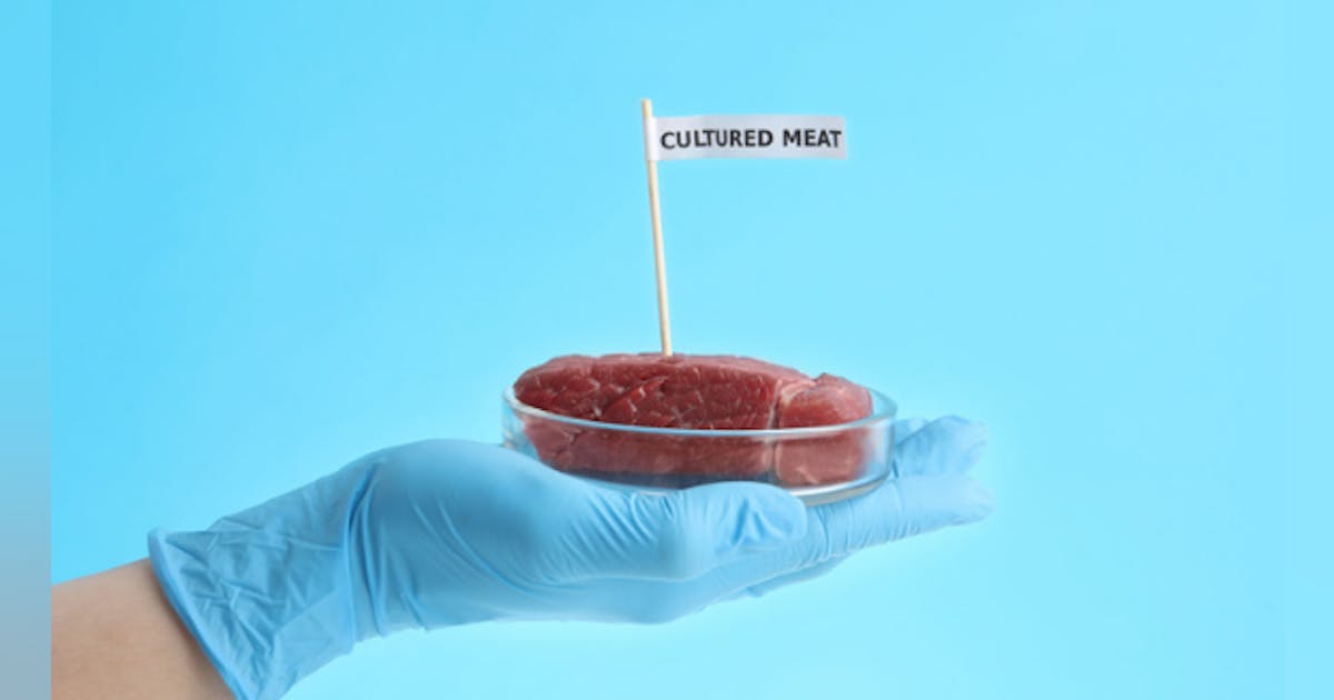 5 Reasons to Support Cultivated Meat Meat