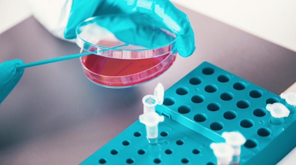 The ABCs of Microbial Testing | Food Processing