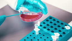 1660317614521 2105microbial 1660317614521 2105microbial