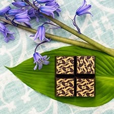 Garden-Society Garden-Society