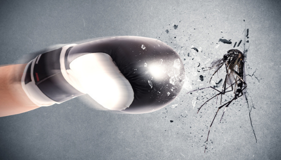 1660318070418 Pestcontrolpunch