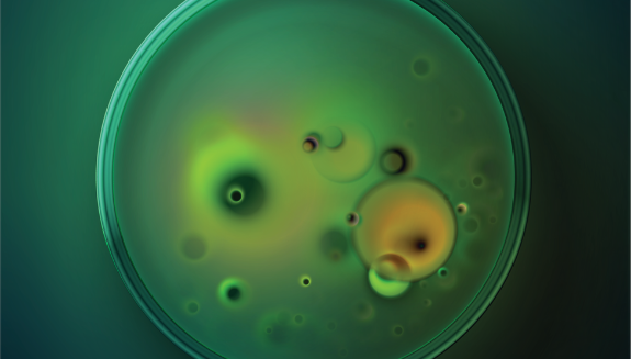 1660318125419 Febfoodsafetycov