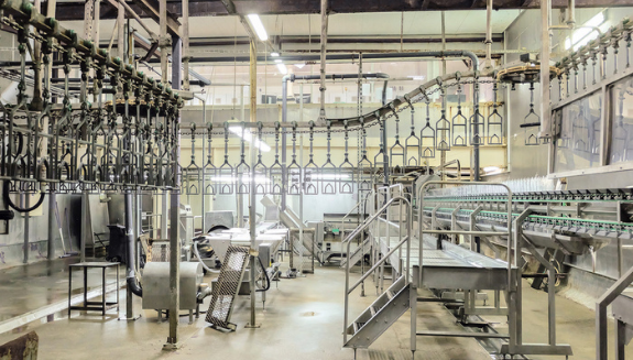 1660318132542 Chickenprocessingplant