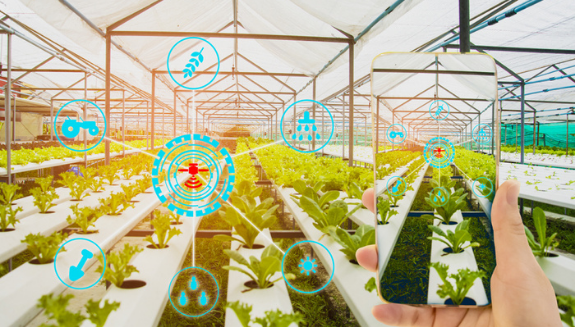 1660318178832 Foodsafetytraceability