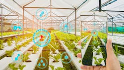 1660318178832 Foodsafetytraceability 1660318178832 Foodsafetytraceability