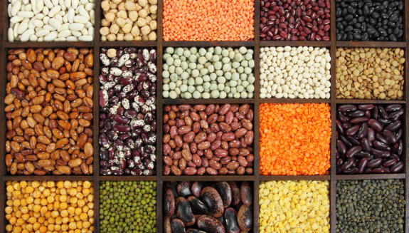 1660318187958 Ingredientroundup