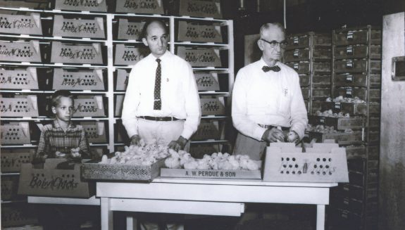 1660318189659 Perduefarmspotycover