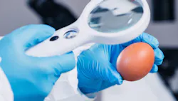 1660318203399 Foodsafetyegginspection 1660318203399 Foodsafetyegginspection