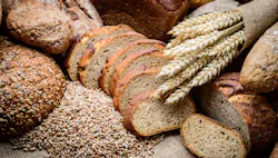 1660318207955 Wholegrainheader 1660318207955 Wholegrainheader