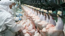 1660318210086 Chickenproduction 1660318210086 Chickenproduction