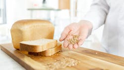 1660318236259 Bakerynovember 1660318236259 Bakerynovember