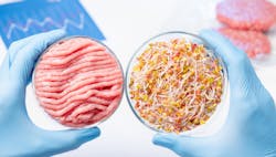 1660318238980 Altmeatnovember 1660318238980 Altmeatnovember