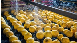 Sept-Equip-Lemons