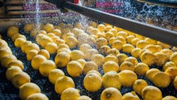 1660318278290 Septequiplemons 1660318278290 Septequiplemons