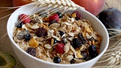 1660318317284 Fiberbowl 1660318317284 Fiberbowl