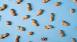 Snack-August-Peanut