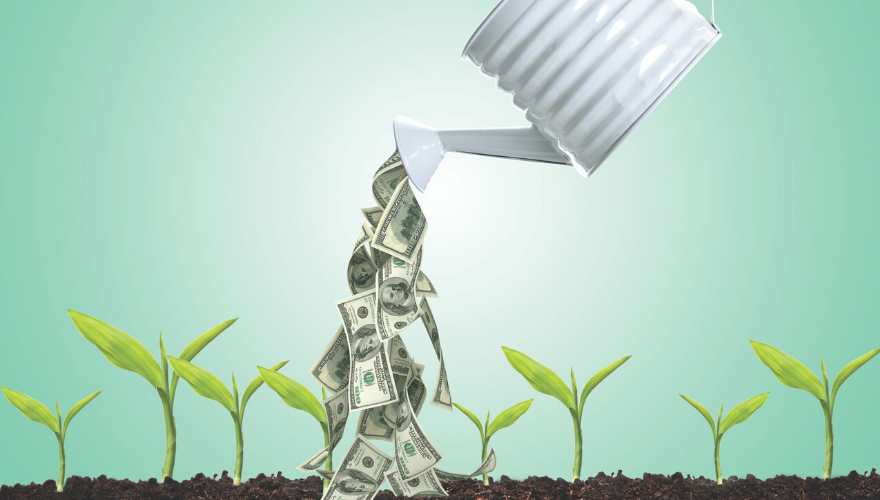 1660318413607 Vcheroimage