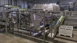 Key-Technology-Green-Bean-Sorting-System Key-Technology-Green-Bean-Sorting-System