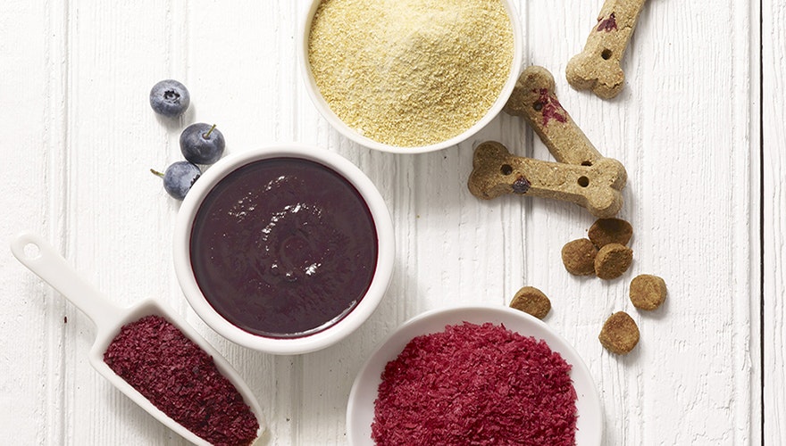 Pet Food Trends in 2020 Focus On Fruit, Alternative Proteins, and