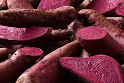 1660318706902 Chrhansenbeetroot 1660318706902 Chrhansenbeetroot
