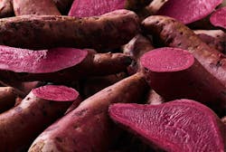 CHR-HansenBeetroot CHR-HansenBeetroot