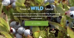 Wild-Blueberry-Trade-Tutorial Wild-Blueberry-Trade-Tutorial