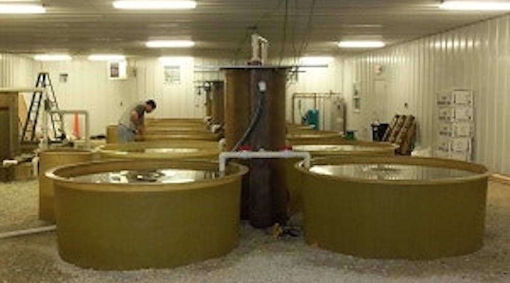 recirculating-aquaculture-systems