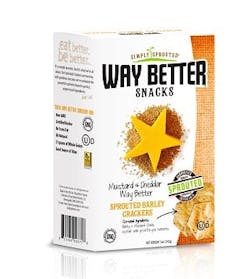 WBS-Mustard-Cheddar-crackers WBS-Mustard-Cheddar-crackers