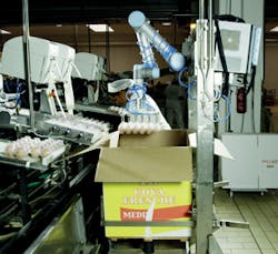 Cascina-Italia-egg-plant Cascina-Italia-egg-plant