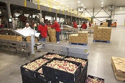 1660319530895 Tastefulbins